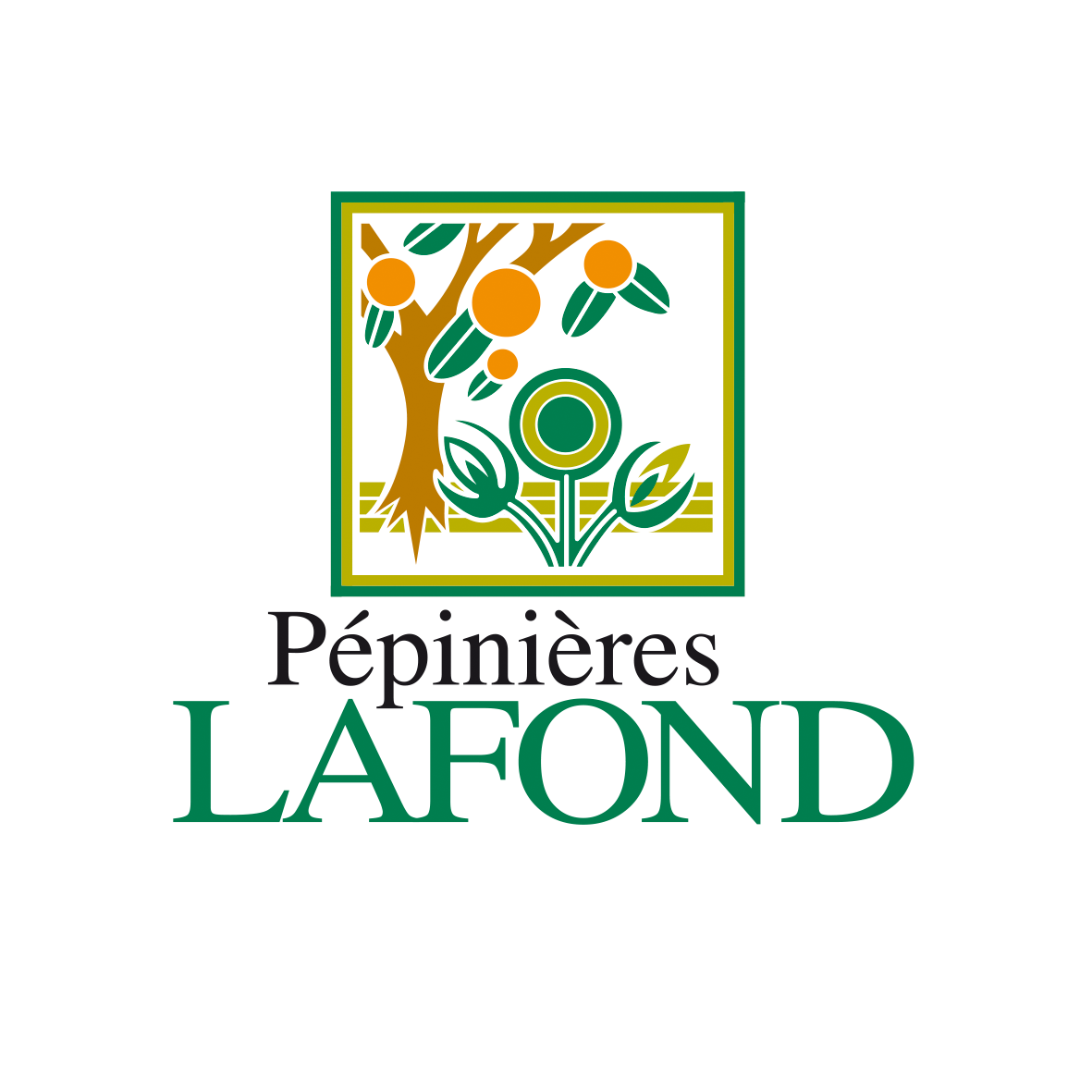 Notre métier Star PMP